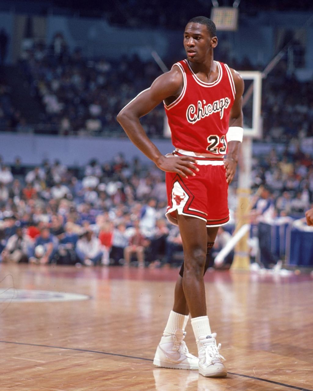 的重要拼图 的重要拼图